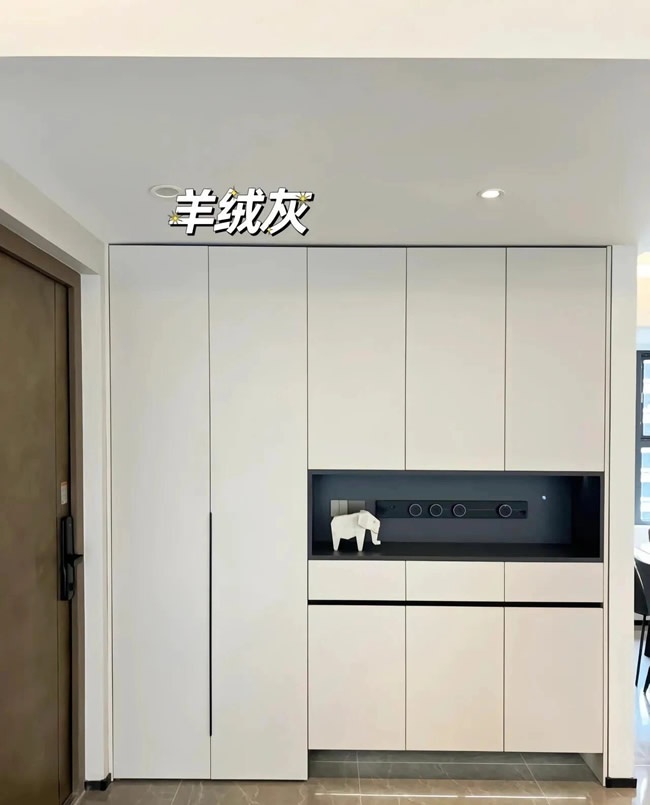 衣柜柜门颜色